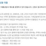 내 생애 첫 주택대출 종류와 조건 그리고 한도까지 총정리 내 생애 첫 주택대출(디딤돌대출)