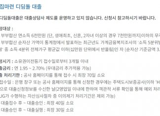 내 생애 첫 주택대출 종류와 조건 그리고 한도까지 총정리 내 생애 첫 주택대출(디딤돌대출)