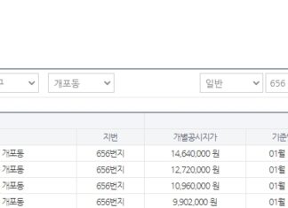 공시지가 조회 1분안에 하는법 : 아파트, 토지, 주택 모두 가능 개별 공시지가 조회 결과