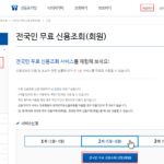 신용등급조회 개인이 무료로 1분안에 하는 방법 나이스지키미에서 무료로 신용등급조회 하는 방법