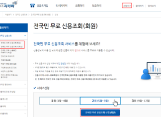 신용등급조회 개인이 무료로 1분안에 하는 방법 나이스지키미에서 무료로 신용등급조회 하는 방법