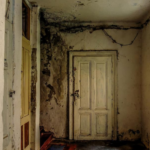 월세방 구하기 전에 반드시 체크해야 할 10가지 월세방 구하기 전 체크해야할 것들(곰팡이, 결로, 방수)