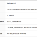 러시앤캐시 소액대출 조건, 한도, 금리, 필요서류, 상환방법, 대출기간