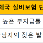 우체국 실비보험 단점과 가입방법 그리고 어떤지 후기 총정리 우체국 실비보험 단점