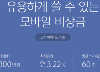 무직자 무서류 소액대출 가능한 곳 : 7, 8등급 저신용자도 가능 무직자 무서류 소액대출이 가능한 카카오뱅크 비상금대출의 한도, 금리, 대출소요시간