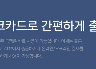 카카오뱅크 무직자대출 가능한 상품 총정리 카카오뱅크 무직자대출인 비상금대출의 출금방법