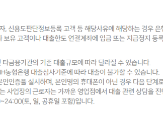 조건없이 대출 가능한 소액대출 상품(무직자, 저소득자 가능) 조건없이 대출 가능한 NH농협 올원 비상금대출의 대출 거절사유, 유의사항