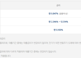 1분 대출 가능한 모바일 즉시대출 상품 총정리 1분 대출이 가능한 카카오뱅크 비상금대출의 기준금리, 가산금리, 우대금리