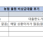 농협 올원 비상금대출 후기, 신청방법, 자격조건, 금리 총정리 농협 올원 비상금대출 후기(장점과 단점)