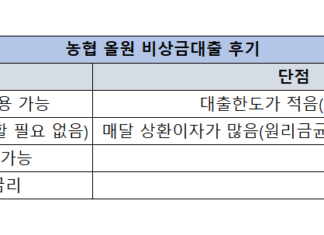 농협 올원 비상금대출 후기, 신청방법, 자격조건, 금리 총정리 농협 올원 비상금대출 후기(장점과 단점)