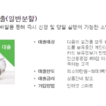 대구은행 비상금대출 자격조건, 금리, 후기(무직자 대출 가능) 대구은행 비상금대출 상품인 DGB쓰담쓰담 간편대출 대출대상, 한도, 금리, 가입방법