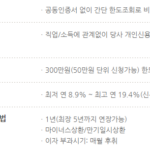 무직자 모바일 즉시대출 쉬운 곳(365일 24시간 이용 가능) 무직자 모바일 즉시대출이 가능한 kb저축은행 kiwi비상금대출 신청대상, 대출한도, 금리, 기간, 상환방법