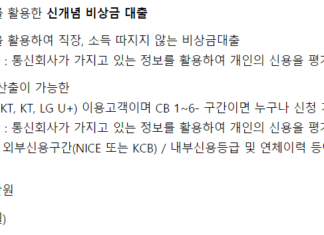 무직자 비대면 대출 가능한 상품(50만원부터 300만원까지) 무직자 비대면 대출이 가능한 1금융권 대출(우리은행 우리 비상금대출) 특징, 대출 신청 자격조건, 한도, 기간