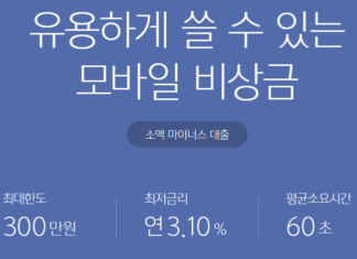 주말 모바일 대출 가능한 곳(무직자도 24시간 소액대출 가능) 주말 모바일 대출이 가능한 카카오뱅크 비상금대출 한도, 금리, 신청하는데 소요되는 시간