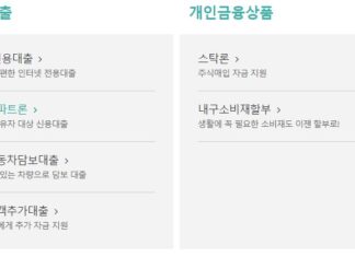 하나캐피탈 신용카드 소지자 대출 지금도 가능할까? 하나캐피탈에서 운영 중인 대출상품(신용카드 소지자 대출은 이용 불가)