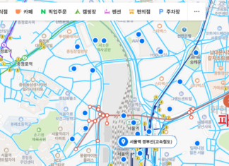 네이버지도 거리뷰(로드뷰), 항공뷰 실시간으로 보는방법 네이버지도 거리뷰(로드뷰) 실시간으로 보는법