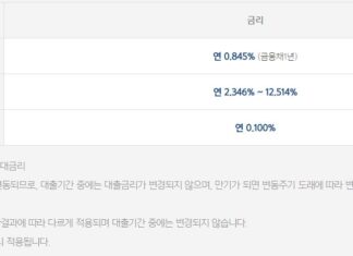 모바일 비대면 대출 가능한 곳(무직자도 24시간 즉시대출 가능한 소액대출) 모바일 비대면 대출이 가능한 카카오뱅크 비상금대출 기준금리, 가산금리, 우대금리