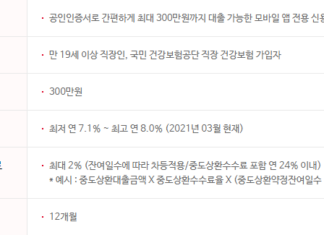 저축은행 소액대출 상품 총정리(무직자도 이용 가능한 간편 비상금대출) 저축은행 소액대출 상품인 페퍼루300 대출대상, 대출한도, 금리, 기간, 중도상환수수료