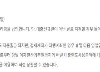 무소득자 사이다대출(사이다뱅크 비상금대출) 거절 및 부결사유, 후기 무소득자 사이다대출 이자납입방법