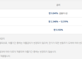 무직자 당일 소액대출 중 BEST 상품 3가지 – 비대면 간편대출로 이용 가능 무직자 당일 소액대출이 가능한 카카오뱅크 비상금대출의 기준금리, 가산금리, 우대금리