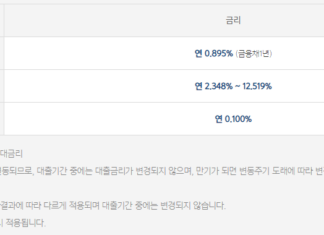 조건없는 소액대출이 있을까? 무직자도 가능한 비상금대출, 통신등급 대출 조건없는 소액대출 상품 중 하나인 카카오뱅크 비상금대출 기준금리, 가산금리, 우대금리