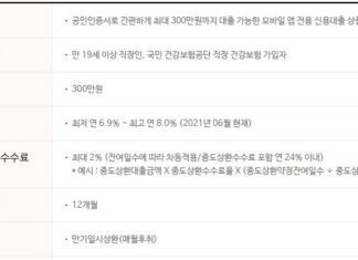 만 19세 저축은행 대출 한도, 금리, 자격조건, 후기, 모바일대출 가능여부 총정리 만 19세 저축은행 대출 상품인 페퍼루300 대출대상, 한도, 금리, 중도상환수수료, 기간, 상환방법