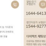 kb다이렉트 자동차보험 전화번호(고객센터) 총정리 – 긴급출동, 보험문의 kb다이렉트 자동차보험 고객센터 전화번호, 일반 및 장기보험 문의, 장기보험 변경 문의, 법인자동차 보험문의