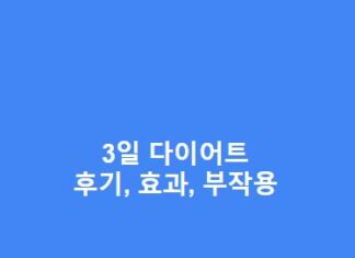 3일 다이어트 후기, 효과, 부작용 총정리(단기간 다이어트 할 분 필독) 3일-다이어트-후기-효과-부작용-총정리단기간-다이어트-할-분-필독-1