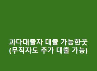 과다대출자 대출 가능한 곳(무직자도 추가 대출 가능) 과다대출자-대출-가능한곳무직자도-추가-대출-가능-1