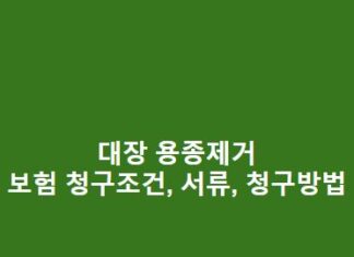 대장 용종제거 보험 청구조건, 서류, 청구방법 총정리 대장-용종제거-보험-청구조건-서류-청구방법-1