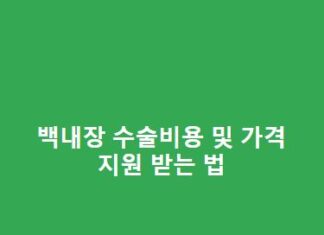 백내장 수술비용 및 가격, 지원 받는 법 총정리(최신정보) 백내장-수술비용-및-가격-지원-받는-법-1