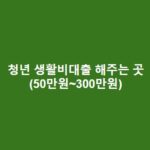 청년 생활비대출 해주는 곳(50만원~300만원) 청년-생활비대출-해주는-곳50만원300만원-1
