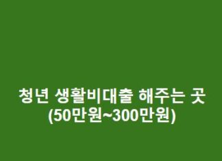 청년 생활비대출 해주는 곳(50만원~300만원) 청년-생활비대출-해주는-곳50만원300만원-1