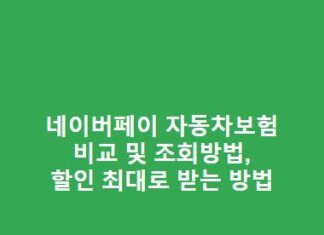 네이버페이 자동차보험 비교 및 조회방법, 할인 최대로 받는 방법 네이버페이-자동차보험-비교-및-조회방법-할인-최대로-받는-방법-1